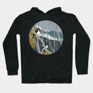 New Zealand Landscape - Mount Aspiring National Park Hoodie